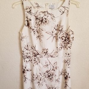 Dress - Ann Taylor Loft Sleeveless Fit & Flare Dress Sz 12